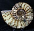Split Ammonite Pair - Agatized #19217-2
